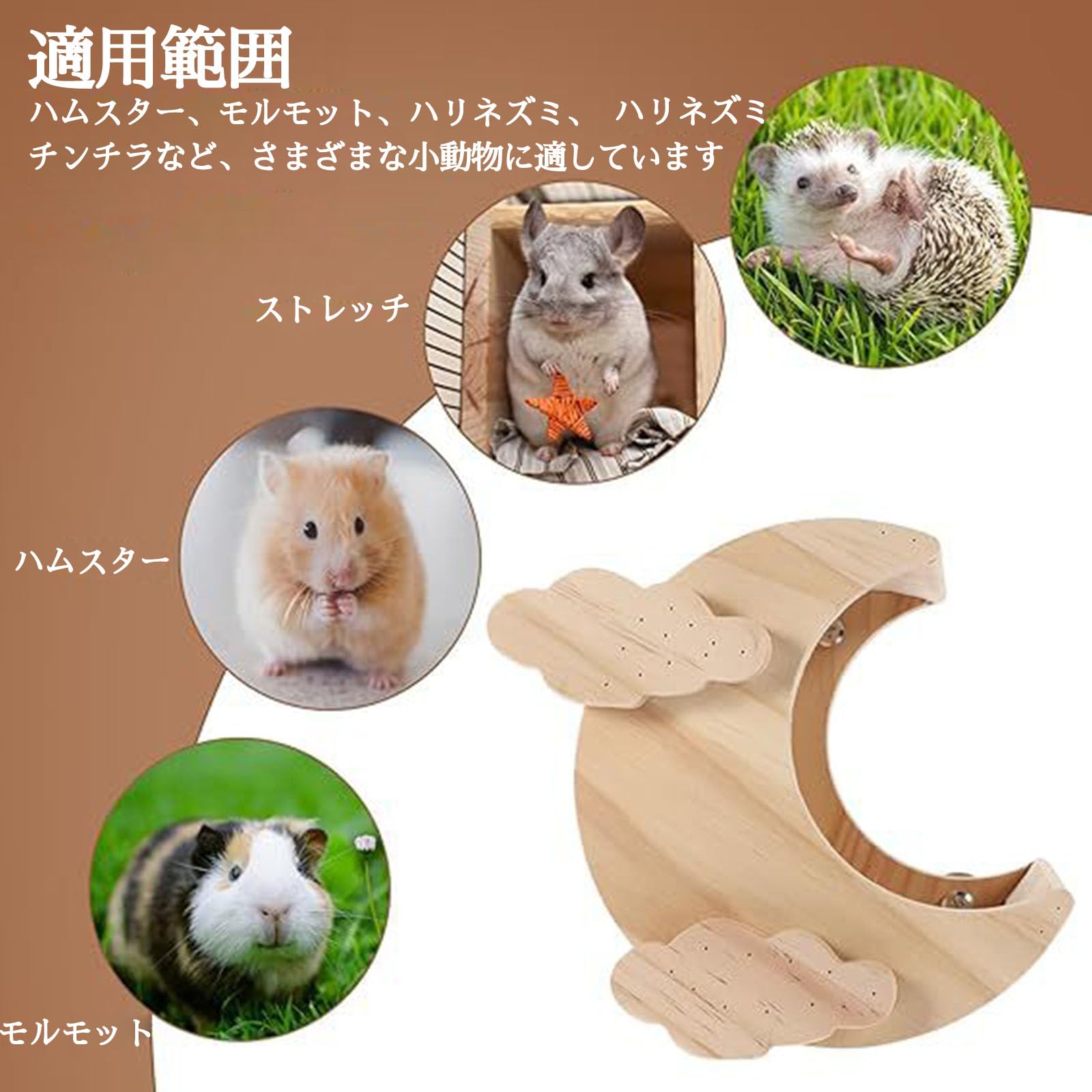 Amazon | チンチラ ステージ チンチラ ハウストトロハムスター おもち